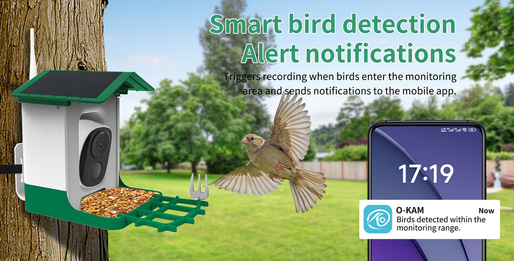 Solar Bird Feeder with Camera AI Bird Identification Wireless Outdoor Smart Birdhouse Automatic Bird Watching Gift for Bird Lovers